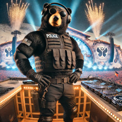 Post tomorrowland winter