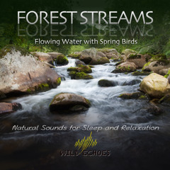 Forest Stream With Birds 2
