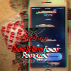 DJ CINTA INI MEMBUNUHKU Sound Of Tiktok Funkot Party 43300