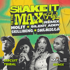SHAKE IT TO THE MAX (DJ MALE VERGUERO REMIX) - MOLIY, Shenseea #FREEDOWNLOAD