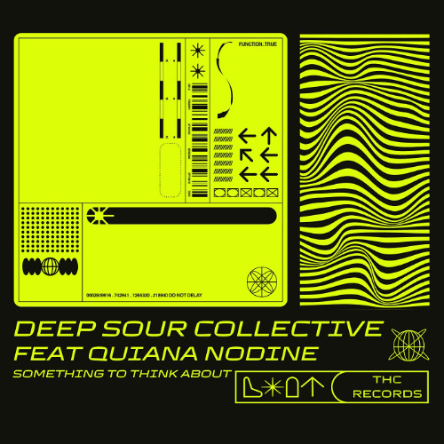 DEEP SOUR COLLECTIVE FEAT QUIANA NODINE - SOMETHING TO THINK ABOUT - ORIGINAL MIX