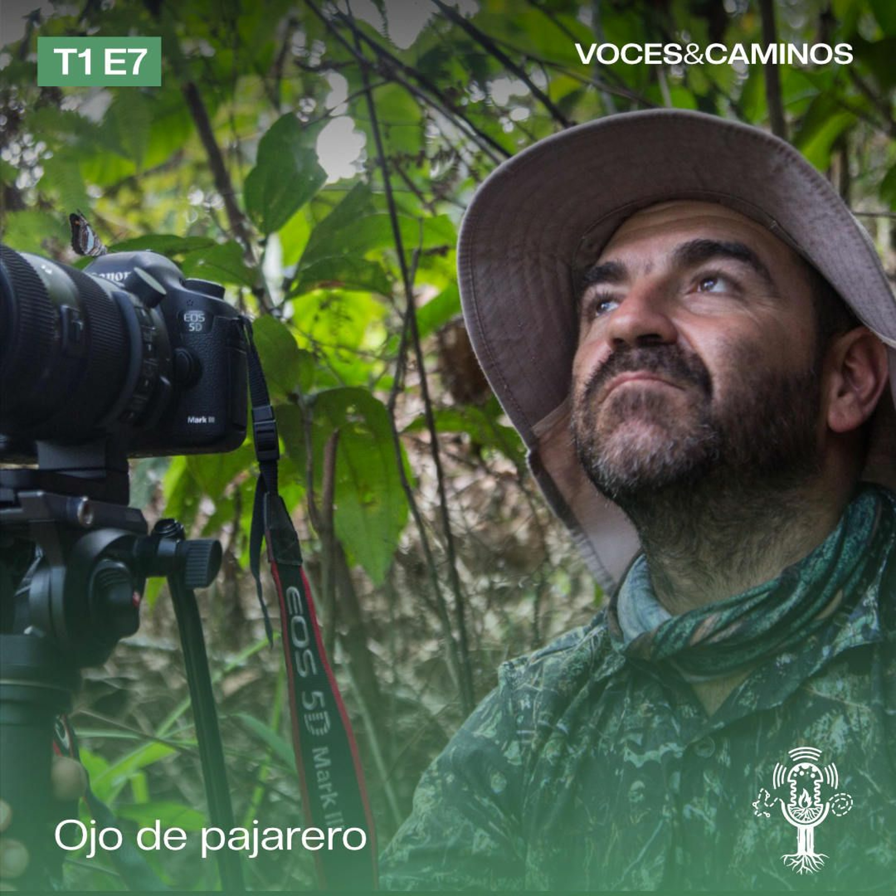 Voces y Caminos