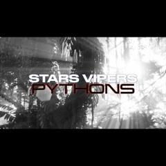 Stars Vipers Pythons 2023-2024