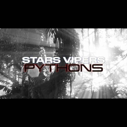 Stars Vipers Pythons 2023-2024