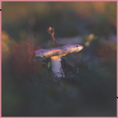 session013