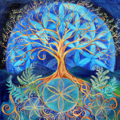 [FREE] Guitar type beat “Serenity” 432hz