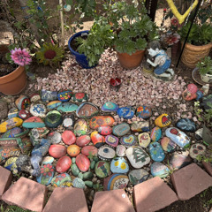 Rock Garden