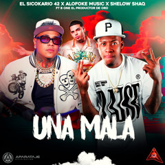 Una Mala (feat. B One El Productor De Oro)