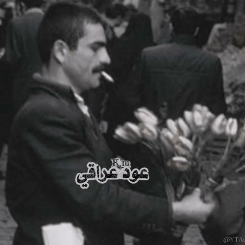 الطيبة من تعشك حلال وتالي تندم