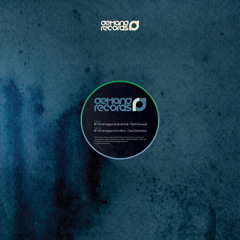 Flash Forward (Original Mix)