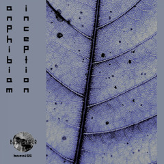 Anphibiam - Rave is on (Original Mix)