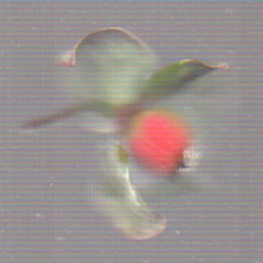 on dreams & potion dreams