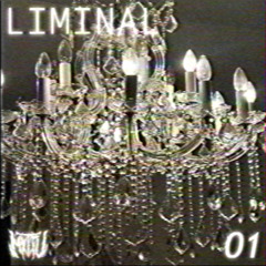 LIMINAL EPISODE 1