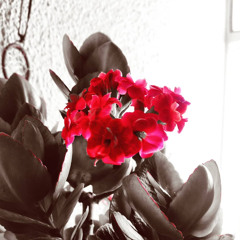 JASMINE'S INTERLUDE (prod. MONKEY PUNCH)