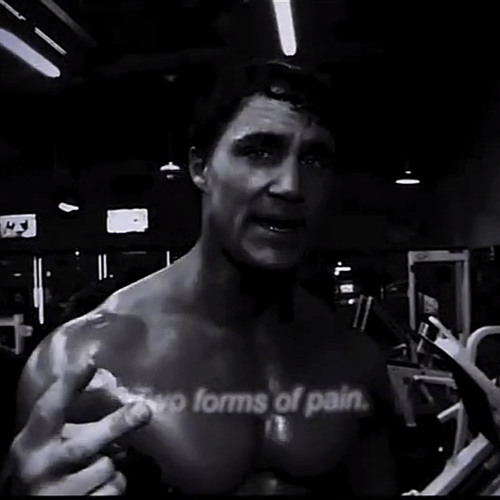 Greg Plitt “ Two Forms of Pain” entombed- Deftones