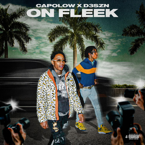 Capolow x D3szn - On Fleek