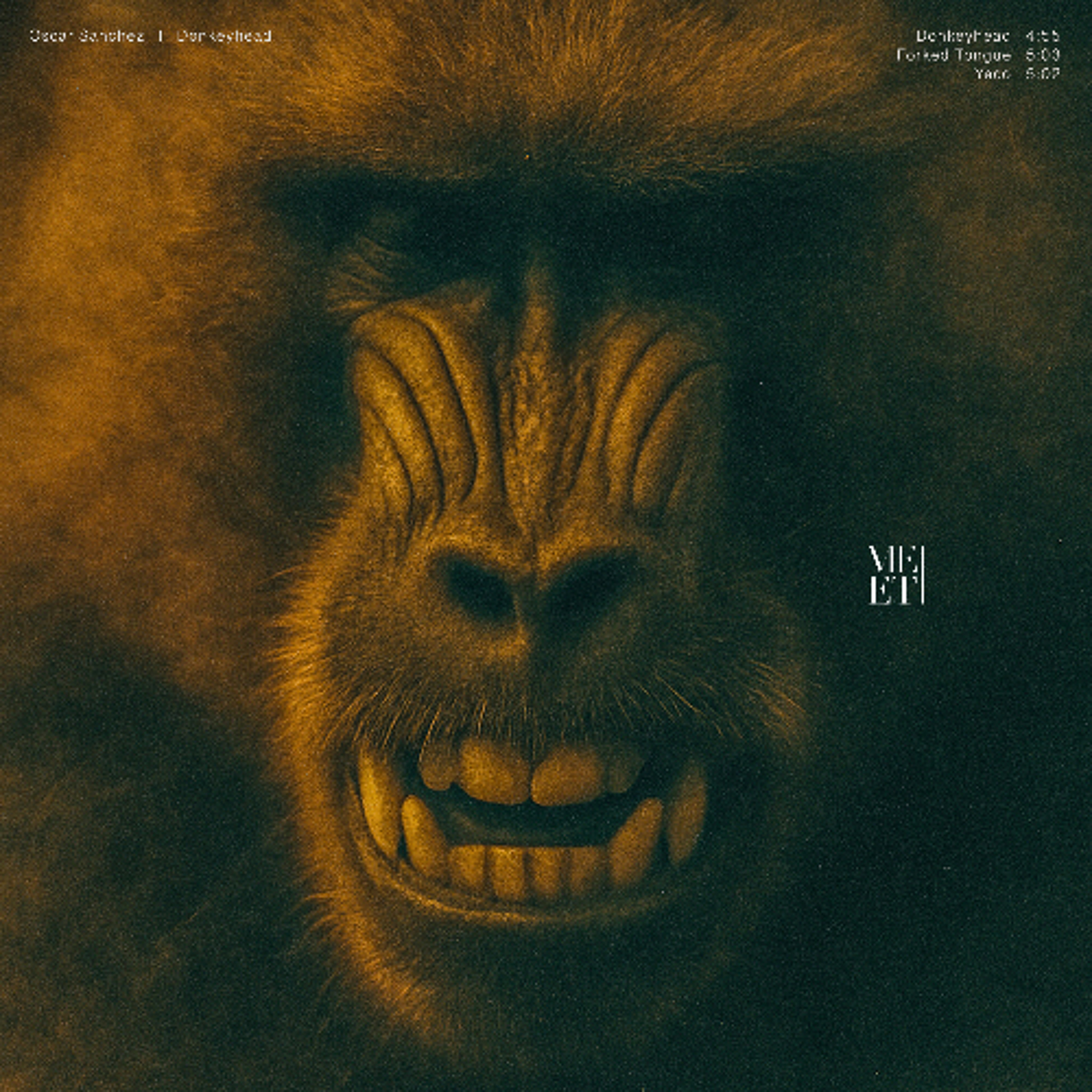 Forked Tongue (Origonal Mix)