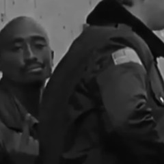 quentin40 fuck la police (sentimento safari rmx)