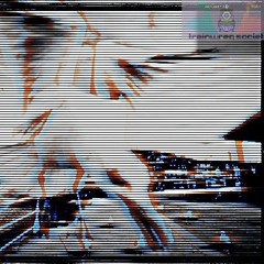 hardcore seagulls