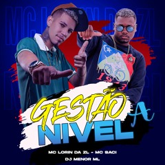 MC LORIN DA ZL & MC SACI - GESTÃO NIVEL A ((DJ MENOR ML))