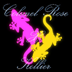 Kellier x Colonel Rose