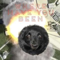 Where Have You Been (FREE DL)