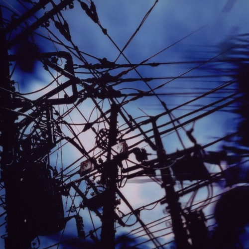 riddle(lemongrass edit)🌫️