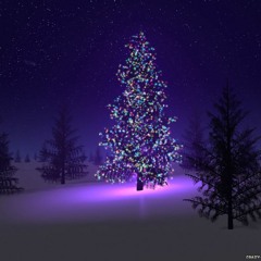 Turn on the Lights on The Christmas Tree