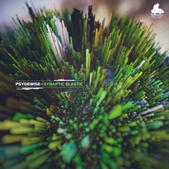 Psydewise - Unknown Origin