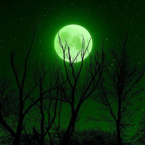 Aaron Kenny - Beneath the Moonlight
