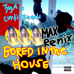 Tyga X Curtis Roach - Bored In The House (MAX Remix)