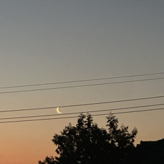 Lonely Night