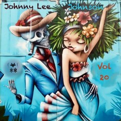 Johnny Lee Johnson - Vol 20