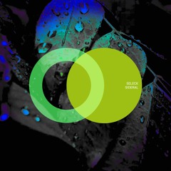 Seleck "PULSAR" (Area Verde)