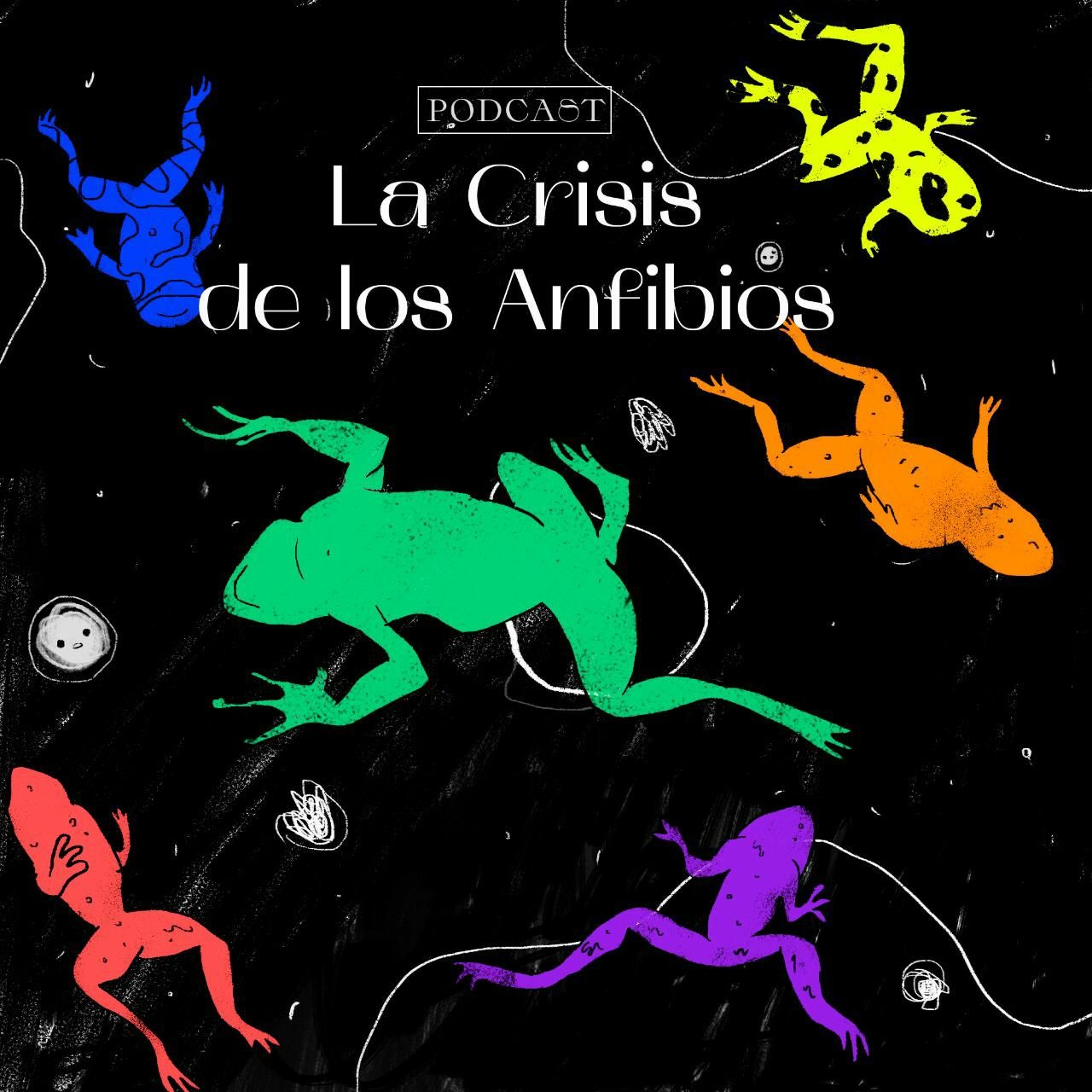Monos en las ramas