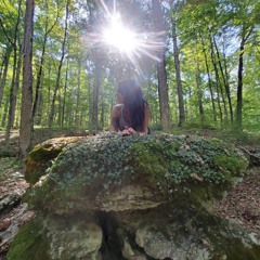 Messages From The Forest