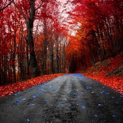 Red Maple Lane w/Lord Mountdrago