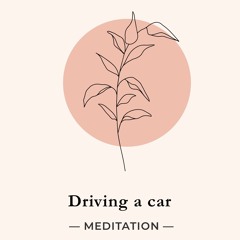 Meditation  - Driving A Car
