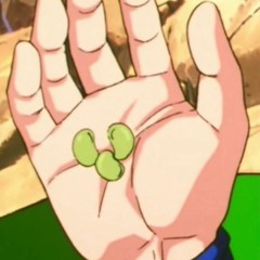 Senzu Bean