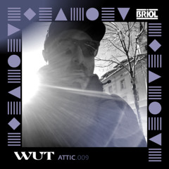 ATTIC 009