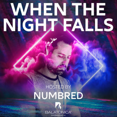 Numbred - When The Night Falls 213