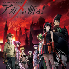 akame ga kill (ancuentsluts)