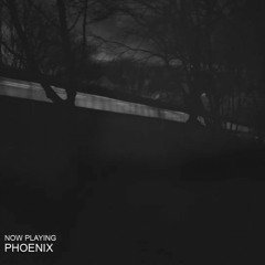 Phoenix (Bonus, Live & Improvised)