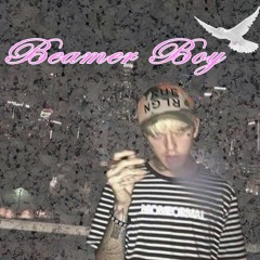 ｂ  ｅ  ａ  ｍ  ｅ  ｒ  ｂ  ｏ  ｙ