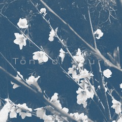 Tone Of Azure