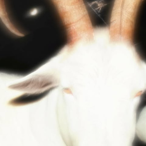 The_end