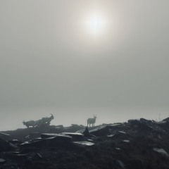 i shouldn't be here rn