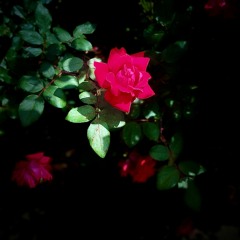 Interlude4ABrokenHeart (prod - 7ventus x aton x afterlife)