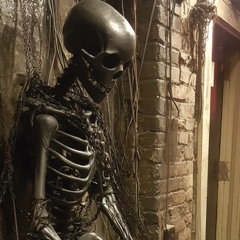 Do What I Want (MyHuman Megaphone Mix)