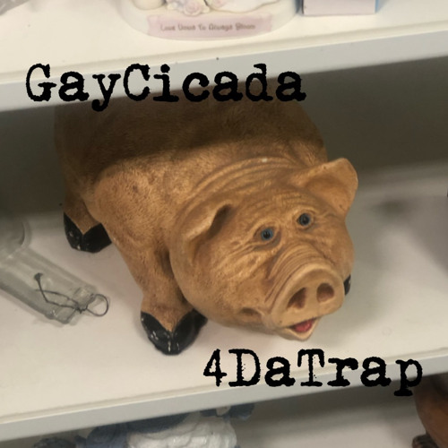4DaTrap